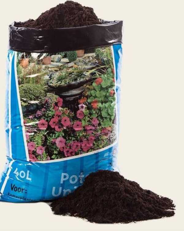 Potgrond