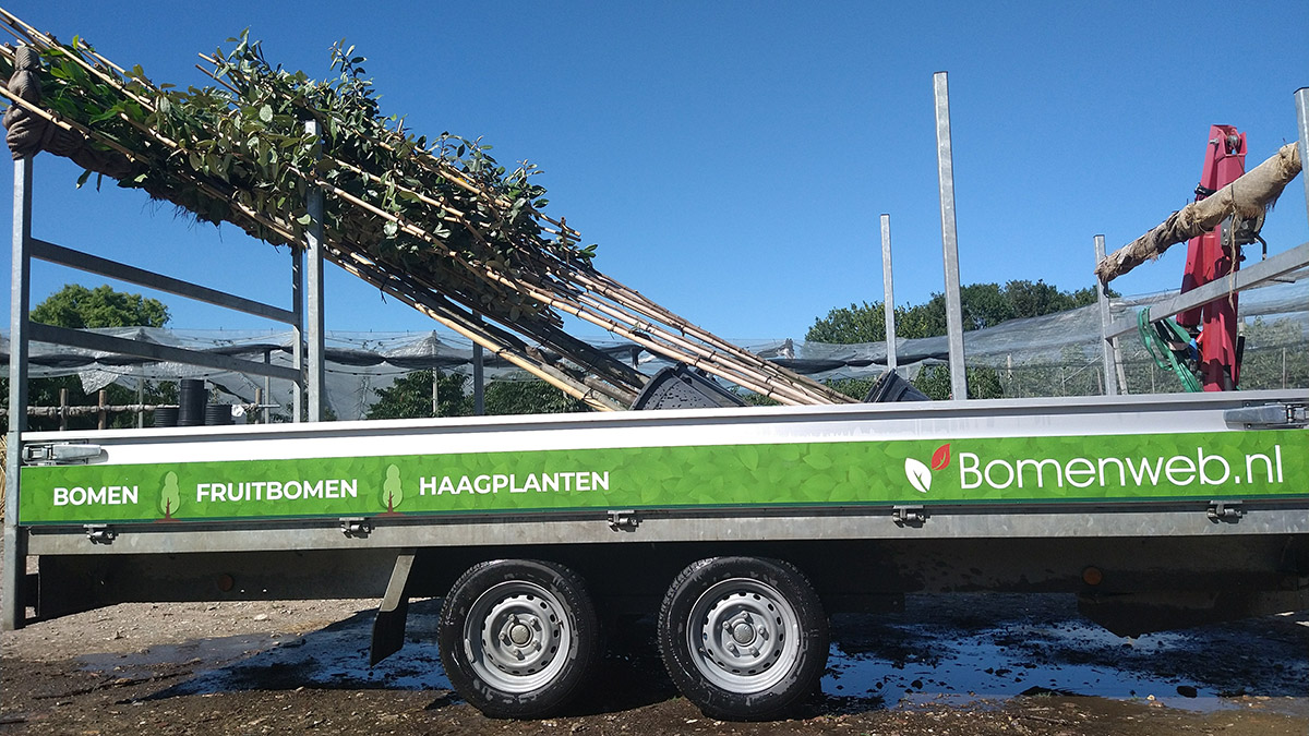 Bezorgwagen van Bomenweb